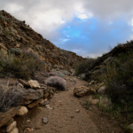 Making my way through a sandy wash along County Road S2.