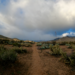 The lingering winter storm.